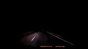 На одной из брянских трасс водитель чудом увернулся от перебегавшего дорогу лося