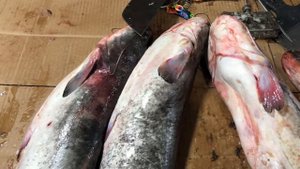 Самый большой рынок в Дагестане нереальные цены #2