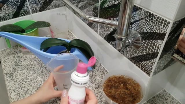 ПЕНОСТЕКЛО✔ - плюсы➕и минусы➖ посадки. Буду ли я лечить ЧЕРНЫЙ СТВОЛ у орхидеи? смотреть онлайн