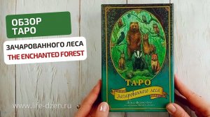 Обзор новинки, колоды Forest of Enchantment Tarot, Таро Зачарованного Леса, издательства Эксмо