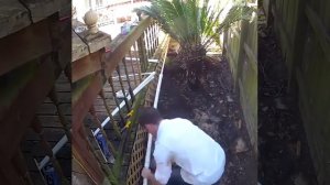 Скважина в каждом доме. своими руками из пропиленовых труб.