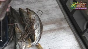 Горбуша холодного копчения в домашних условиях. Как солить, как завялить, закоптить горбушу.