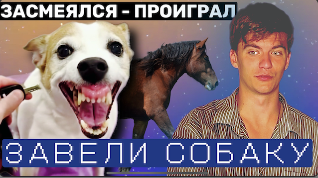 САМЫЕ СМЕШНЫЕ ВИДОСЫ ЗА АВГУСТ / СОБАКУ ЗАВЕЛИ С КЛЮЧА.... смотреть онлайн