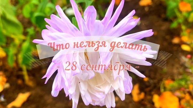 28 сентября День Никиты. Что нельзя делать 28 сентября. Народные традиции и приметы и суеверия