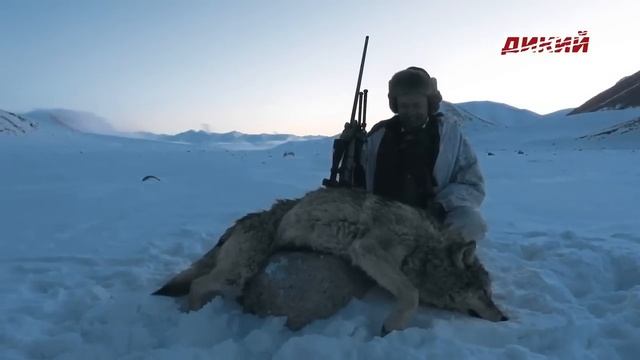 ТАДЖИКИСТАН!!! Экспедиции Александра Егорова смотреть онлайн