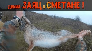 ЗАЯЦ в СМЕТАНЕ /ЗАЯЦ ТУШЕНЫЙ в СМЕТАНЕ /КРОЛИК В СМЕТАНЕ / КРОЛИК ТУШЕНЫЙ В СМЕТАНЕ