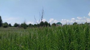 Купили участок ИЖС: вынос границ участка в натуру