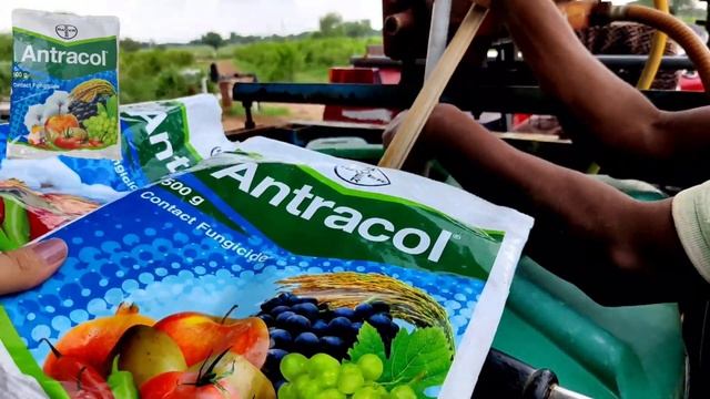 Fungicide Insecticide Combination | antracol fungicide uses | bayer confidor | Imidacloprid 17.8SL