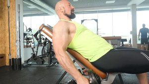 Подъем гантелей на бицепс сидя на наклоной скамье (45°)
