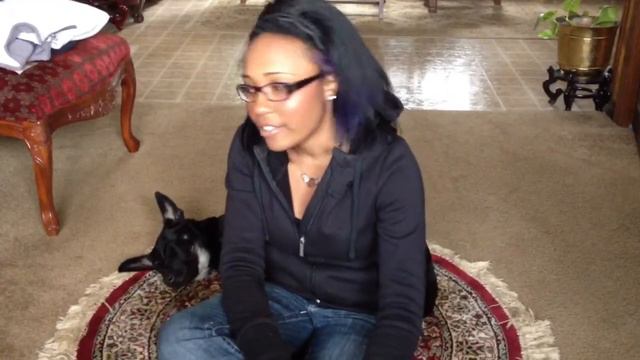 Christa Myers & "Loki" German Shepherd SC K9 Dog Training Testimonial смотреть онлайн