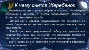 К чему снится Жеребенок (Сонник)
