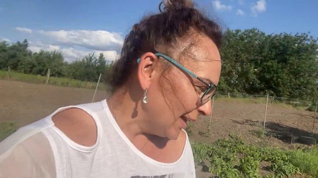 478❤️А яиц то нет😄. Понедельник… скорее бы выходные😂 смотреть онлайн