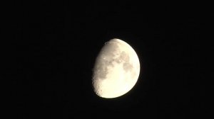 Метеорит попал в луну / a meteorite has hit the moon