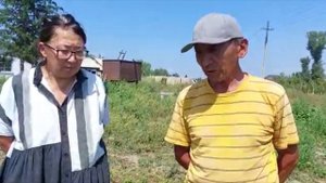 Восстанавливаем почву спасаем растения от химии