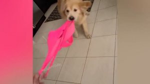 Я РЖАЛ ЦЕЛЫЙ ЧАС?