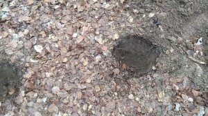 Nokta Makro Simplex+ vs Квазар АРМ vs Makro Multi Kruzer (Part 2 - Частина 2)