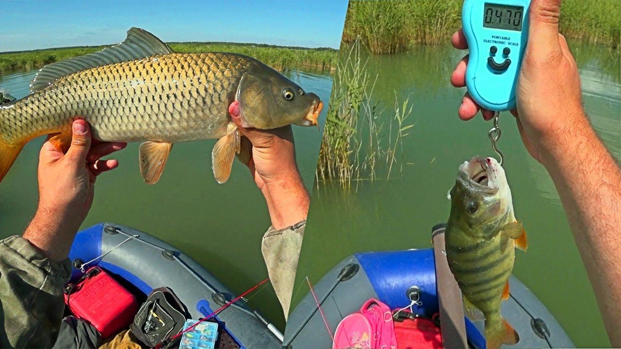 РЫБАЛКА НА ОЗЕРЕ ЛОВИМ САЗАНА, ОКУНЯ, КАРАСЯ. КРУПНАЯ РЫБА смотреть онлайн