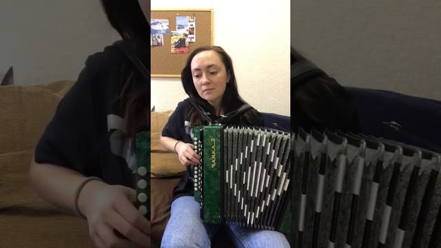 Обзор гармонь Чайка-2. В продажу смотреть онлайн