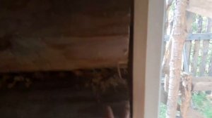обналичка в деревянном доме на пластиковые окна