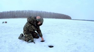 ВОТ ЭТО ПОКЛЁВКА! Ловля на ВЕДЬМУ.Рыбалка на Оби.