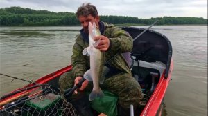 И СНОВА ПЕСКИ. Рыбалка на Оби ( Сузун ) 28 августа 2023г.