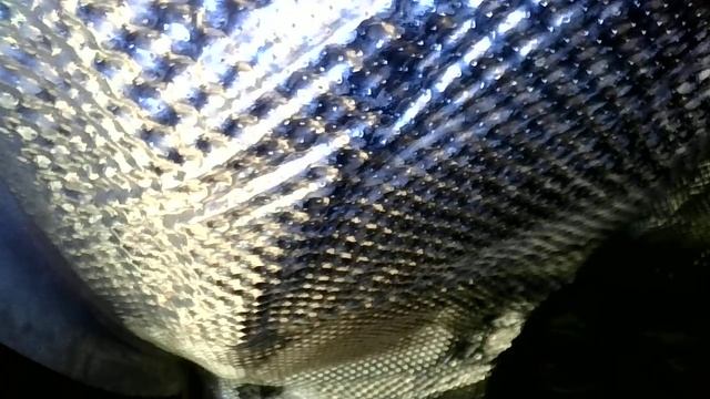 Эндоскопия двигателя Volkswagen Tiguan Нижний Новгород смотреть онлайн