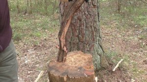 Нож YARU Fox Knives. Уличный тест