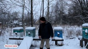 Простор для штрафов и коррупции в пчеловодстве/При новом законе пчёл в России не будет.