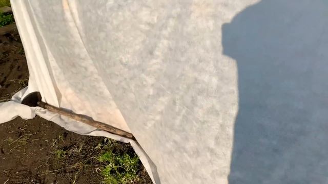 ПАРНИК СВОИМИ РУКАМИ/НОЧЕВКА НА ДАЧЕ/ЗАКОНЧИЛА ПАРНИК КУПИЛА ЗАБРОШЕННУЮ ДАЧУ[ЧАСТЬ 11]