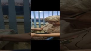 Зверобой каменный (щитовник пахучий)