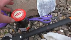Как вылечить хвойные растения? Фитоспорин - "скорая помощь" при болезни хвойных.