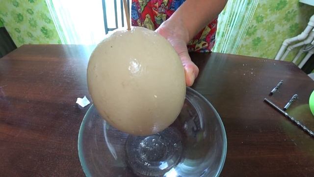 Страусиное яйцо. Как его вскрыть. смотреть онлайн