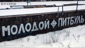 Т.N.F. Молодой Пит Буль Музыкальные ролики от Роджера