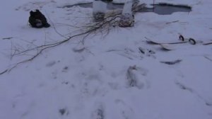 рыбалка без удочки в Сургуте