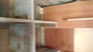 Голубятня из поддонов 2 часть, близится завершение проекта