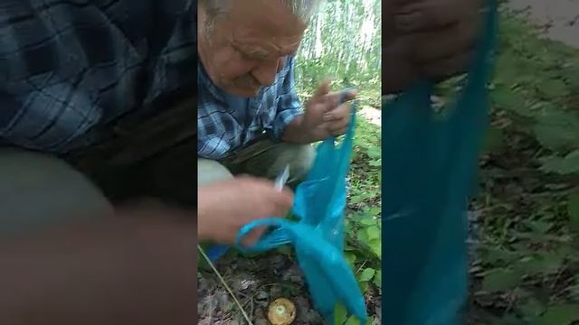 Ищем грузди 2018г. смотреть онлайн