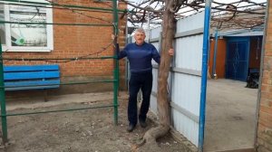 Винограду 40 лет.Винный сорт.
