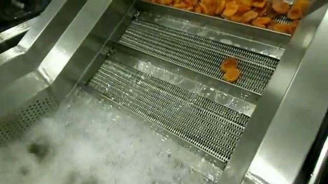 Линия мойки сухофруктов смотреть онлайн