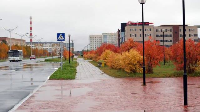 Когалым - осень на Рябиновом бульваре смотреть онлайн