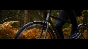 Велосипед Electra Loft 7D - город весь твой!