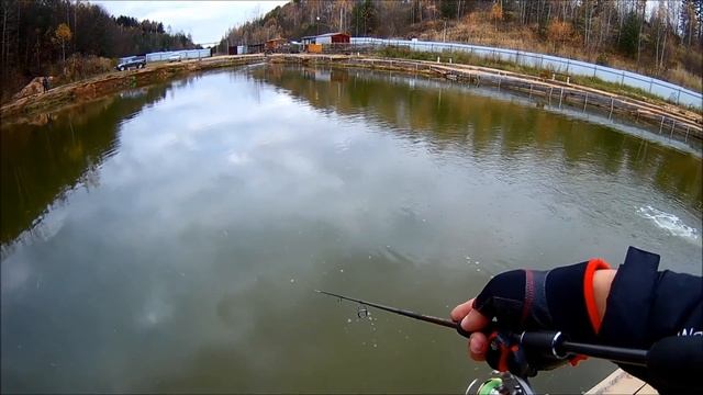 Осеняя ловля форели на платнике