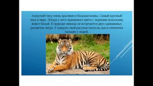 Красная книга Забайкалья