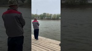 Ловля 7-килограммового сома. Рыбалка в Астрахани, апрель.