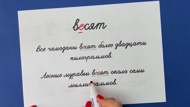 вИсят или вЕсят - какую букву написать? | Русский язык
