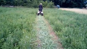 Самодельная роторная косарка к мотоблоку 1.35 | Косим отаву | Часть 4