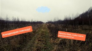 НАШЕЛ В ЛЕСУ ЦАРСКИЕ МОНЕТЫ И КУЧУ АЛКОДИНАРИЕВ!!!