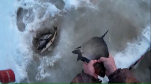 Ловля КРУПНОГО ЛЕЩА зимой. "Отличная зимняя рыбалка" - часть 2. Выезд третий.