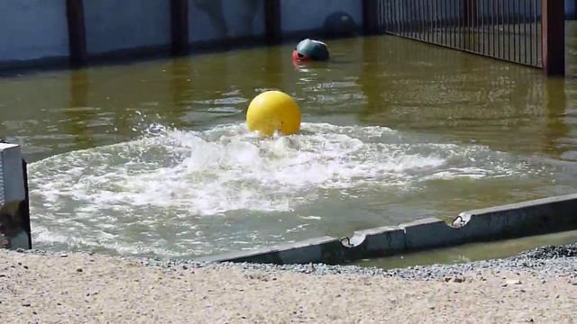 Забава в новом бассейне смотреть онлайн