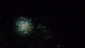 Цепная рычажная таль. Вытаскиваю ниву