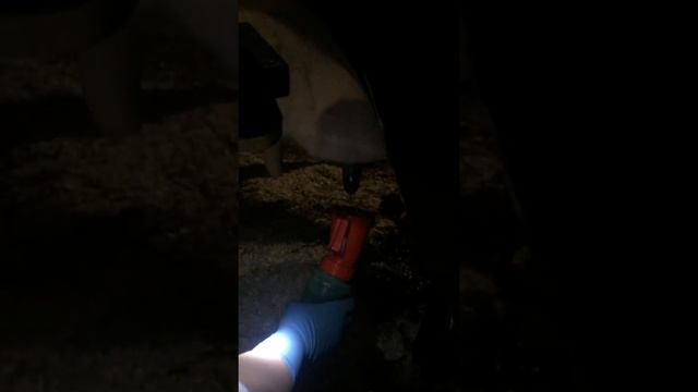 Дойка Нижняя Салда 2 смотреть онлайн